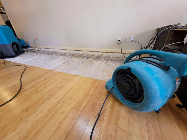 Professional Sewage Cleanup technician working in Pearblossom, CA